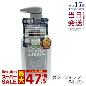 plus eau プリュスオー カラーシャンプー 280ml シルバー ヘアカラー plus eau ダメージ 補修 トリートメント for color カラーキープ カラーリング ヘアスタイリング 国内正規品 送料無料