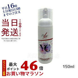 FitLine Skin ヤングケア クレンジングフォーム 150ml 泡立て不要 乾燥 ドイツ化粧品 洗顔料