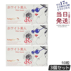 y2ZbgzREVI B zCgl 10 NHi Tvg TC{Ee REVI b\ ܖ2027N1 Ki 