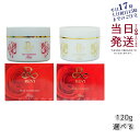 【レビュー特典】REVI ルヴィ セルフゴマージュ 120g SUPER 基礎化粧品 ピーリング ゴマージュ マッサージ フェイシャルケア ホームケア ホームエステ 角質ケア 再生因子細胞美容 REVI 銀座ロッソ ROSSO 母の日 正規品 送料無料