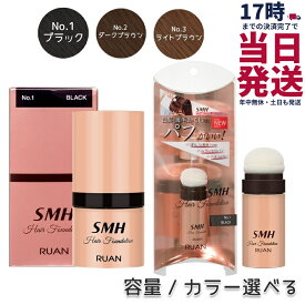 【容量選べる】SMH ヘアファンデーション 3g 12g No.1 ブラック No.2 ダークブラウン No.3 ライトブラウン スーパーミリオンヘアー ルアン ヘアファンデーション 白髪隠し 分け目 カバー 薄毛隠し 正規品 送料無料