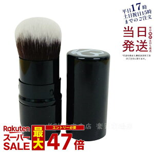 XsPA V3ZbgAbvpE_[uV pE_[puV SPICARE V3 set up powder brush Ki