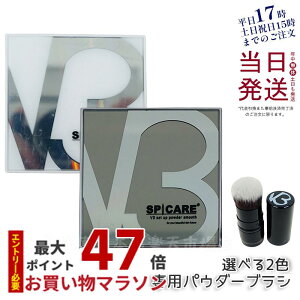 ypuVIׂ KizXsPA V3ZbgAbvpE_[ X[X smooth VCj[ shiny 11.5g SPICARE V3 set up powder ؍RX vXgpE_ tFCX pE_[ V3t@f[V 