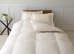 Hѕzc VOTCY { GNZS[hx Hꂩ璼 Hѕzc Y