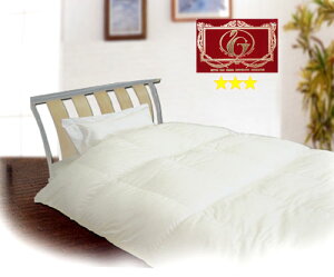 Hѕzc NB[ { GNZS[hx Hꂩ璼 Hѕzc Y