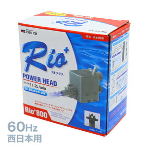 ^|v Rio800 [ 60HzE{p ] i 1 j{  l` LN^[  Ղ  q Cxg ii čՂ }