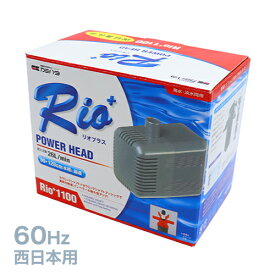 小型水流ポンプ Rio1100 [ 60Hz・西日本用 ] （ 1個 ）{ お祭り 縁日 子供会 イベント 景品 夏祭り }