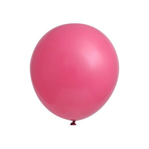 yNlR䂤pPbgzGebNX 12C`( 30cm )ی^ pXeC{[J[ 100{ Ղ  q Cxg ii čՂ }