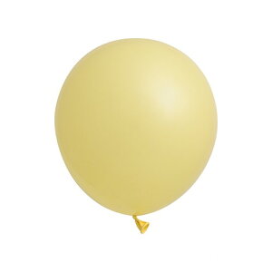 yNlR䂤pPbgzGebNX 10C`( 25cm )ی^ pXeC{[J[ 100{ Ղ  q Cxg ii čՂ }