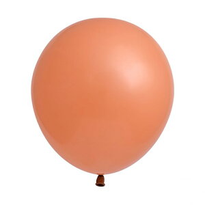 GebNX 18C`( 45cm )ی^ X^_[hJ[ 10{ Ղ  q Cxg ii čՂ }