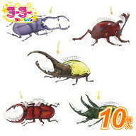 ビニール玩具 ヨーヨーコレクション　カブトムシ＆クワガタムシ (10個）{ お祭り 縁日 子供会 イベント …