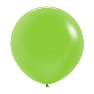 yNlR䂤pPbgzZyebNX 24C`( 60cm )ی^ lIJ[ 3{ Ղ  q Cxg ii čՂ }