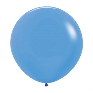 yNlR䂤pPbgzZyebNX 24C`( 60cm )ی^ lIJ[ 3{ Ղ  q Cxg ii čՂ }