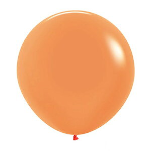 yNlR䂤pPbgzZyebNX 24C`( 60cm )ی^ lIJ[ 3{ Ղ  q Cxg ii čՂ }