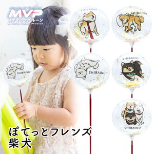 MVPXeBbNo[130mmEh@ۂĂƃtY Č 5{ c܂Ă͂ (1Zbgj{ Ղ  q Cxg ii čՂ }