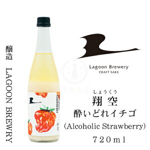 y2024N06rl߁zċ ǂC`SiAlcoholic Strawberryj@720mly{zyǂԂ낭zyzPzy䕁zyzyNtgTPzyLAGOON BREWERYz