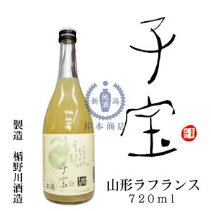 q󃊃L[@R`tX@720mly|̐𑢁zyR`zyaL[zyYL[zyʎz