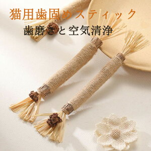 L L _ L݂ XeBbN LVїp  VRS  ̃N[jO s C XgX 얞 (3)