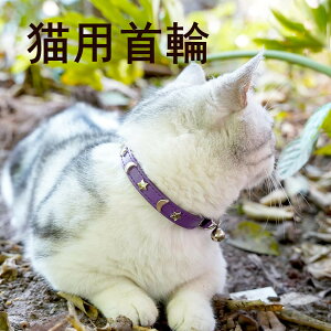  U[LbgJ[ j̎q ̎q Lp  xt SSxg qL ^ ^L ߉\ ybgpJ[ S3F Lp ^ v[gɂœK