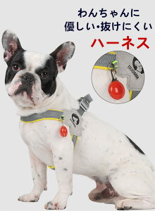  n[lX  S4F ^ ^ n[lX y ɂȂ  bV NbV ̍\ ˋ@\ U 񂱂Ƃo| EH[LO obNpbLO s Oopi