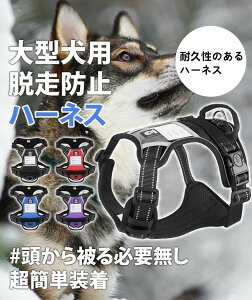  n[lX ^pEh~n[lX ˋ@\tSbNȒP Dtqh~ Dtqh~ U op ߉\ h~