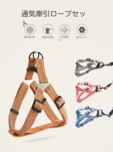  [h n[lX[hZbg ^ ^ ^ 8̎n[lX \tg ۂЂ[h R ߉\ȌpEH[LO[hł U ^b`