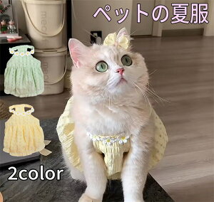 ėpybghX ̕ hX 킢 t yʒʋC Lp qΉ čՂΉ gɓK ΍ ^Lp ₷ Ȃ