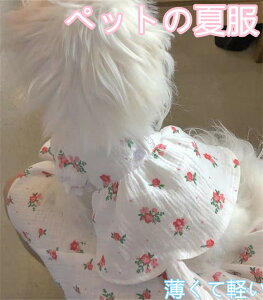 ybg  L vghX ĕ ^ _炩yf ʋCɗD ^ɓK킢  U o _炩 XS S M L XL