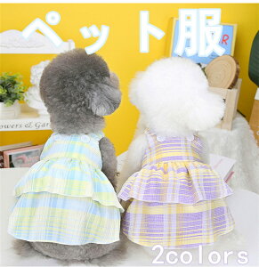 ybg  Lp t  vZXXJ[g `FbN TXy_[t d˒ ^ efB gCv[h  ʋC y o