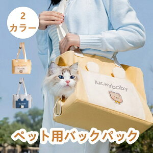 ?xAfUCybgL[ 2WAY V_[obO ^ L s ʉ@  ܂肽 яoh~ 炪o z [