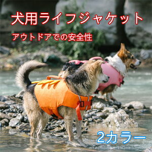 pCtWPbg ybgp  HfUC ~ ˃e[v Et S⏕ f V C  y h ϖ S