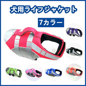 pCtWPbg ybgp~  v~Af ˃e[vt E\ K Ă̐V C  v[ AEghAp