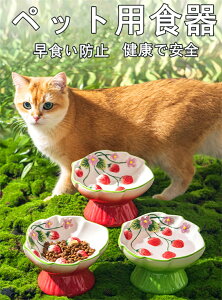 킢  C`S ybgpH Hh~  L rtfUC ނh~H ]|h~ ւ̕Sy ^ Lp ʃfUC T|[ ~ߐ݌v Hׂ{E 