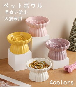 ybgpH  L H Hh~ t[h{E ybg  aM a GTM ybgp ybg{E X[t[h T|[g ނh~ ]|h~ L̉aM Hׂ₷ Lp{