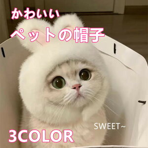 L  Xq ybg̖Xq nEBXq  RX`[  ybgp蕨 L ^p Xq RXv ʐ^Bep fObY ӂӂETM Lbv SNSf yb