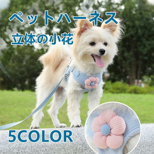  n[lX ybgn[lX p pn[lX [ht 񂪒܂Ȃ fUC ߉\ 킢 Ȃ ʋCQ K tBbg ȒPE Sy yʐ݌v  S 