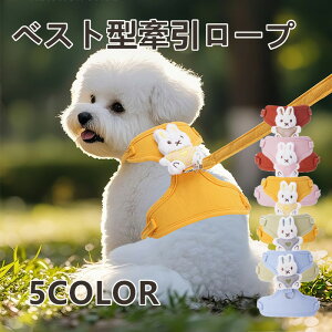 Lpn[lX  xXg^ [ht ɂ ߉\ w ybgn[lX op Up Op ^ K tBbg S݌v y Sy   