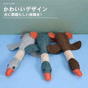 p ybgp o ʂ ^ z VтȂ炵 XgX ^p   ybgpߋ Mtgp v[gp Vїp op ʐ^B