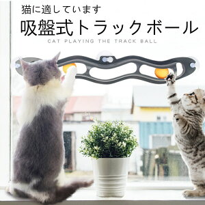 L  ߋ LpgbN{[ LI` Ǖt zՎ zՌŒ ybg ] {[ ]{[ XgX ^s mߋ XgX^sPA DSh