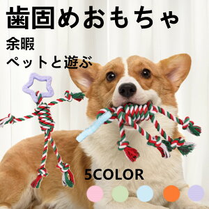  ̂ NX}X ybgpi p ϋv[v łv Rbg[v Ȃ ϊ݊ߋ NX}XfUC ^ ^ ނ ^