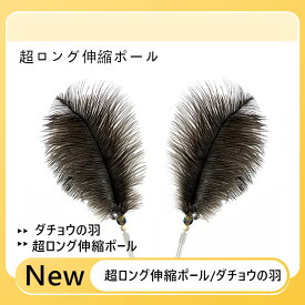 猫用おもちゃ 人気 キラキラバードデザイン 猫じゃらし インタラクティブ玩具 室内遊び専用 狩猟本能刺激 ジャンプ運動 ダッシュトレーニング ストレス解消 運動不足解消 ひとり遊び対応 コミュニケーション強化 子猫 成猫対応 デイリー猫玩具 ロングタイプじゃらし