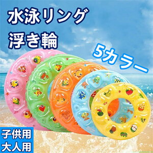  qp lp LbY xr[ v[ C ăObY V t[g s   Ԃ c w Ƒp  lC  oC?