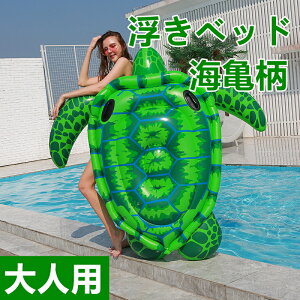 CT  xbh 蕨 }bg lp v[ C  h]|  ][g lC  V gh 킢 芴 pvc