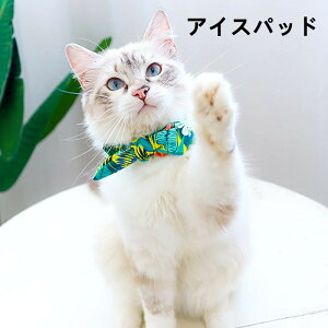 ペット用首輪 犬の散歩用品 首回り クール用品 夏の熱中症対策 クール 涼しい 犬の散歩用品 ネッククーラー 涼しい熱中症対策春 夏 小型犬 猫 ペット用品 送料無料