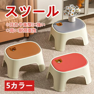 Xc[ ^ Z ƒp ֎q vX`bN y ݌v ~ qp RpNg  ʏ C ̐^