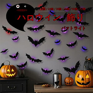 nEB XebJ[ LED v obg 3D iCgCg  _   K[W p[eB[  ~  CeA X[cP[X Ղ ^ ͋C ܂܂Ȍ` obO 