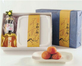 楽天市場 母の日 健康食品 食品 の通販