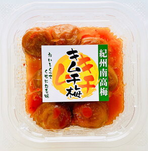 yʌEpbNzyTVŏЉ܂IIB썂~E10 L`~160gzŝ IB썂~ s_ Д_ Ѝ͔| a̎R ~ Mtg T  ʃT