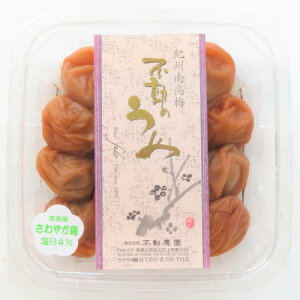 y4zyIB썂~400g 񂲐|~z₩~ s_ Д_ Ѝ͔| a̎R IB썂~ ~ Mtg T   zCgf[ o^Cf[