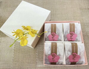 【敬老の日ギフト対応】【最高級梅干】【個包装4粒入】梅のさち(うす塩味梅)不動農園 特選商品 自社農園栽培梅干 プレミア和歌山 減塩梅干 のし包装無料対応 梅干し 紀州南高梅 可愛い